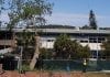 school tree removal newcastle